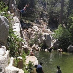 Meet your Posher, Nestor